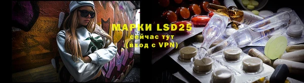 стаф Майский
