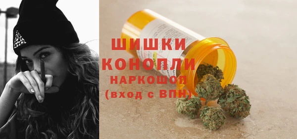 стаф Майский