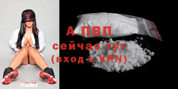 стаф Майский