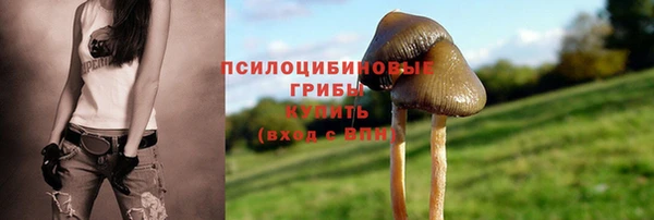 стаф Майский