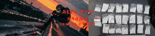 стаф Майский