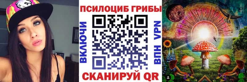 кракен как зайти  Златоуст  Галлюциногенные грибы мицелий  сколько стоит 